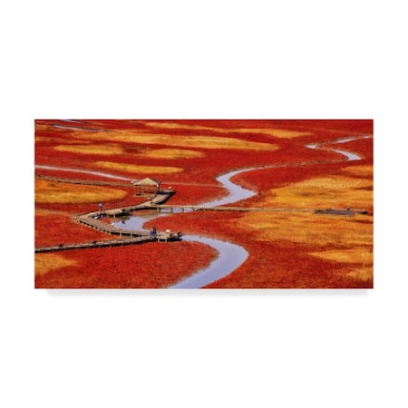 Tiger Seo 'Salt Pond' Canvas Art,12x24